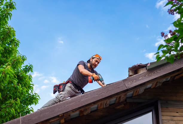 Best Wood Shake Roofing  in Pierce, CO