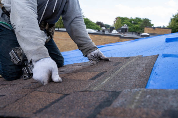 Best Rubber Roofing (EPDM, TPO)  in Pierce, CO