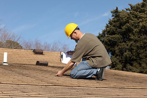 Best Asphalt Shingle Roofing  in Pierce, CO