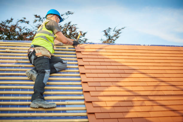 Best Hot Roofs  in Pierce, CO